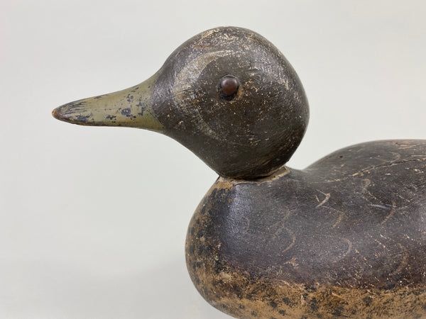 Mason Blue-Wing Teal Drake (#9046)