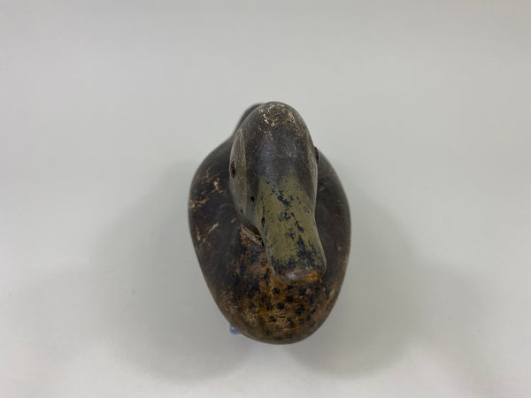 Mason Blue-Wing Teal Drake (#9046)