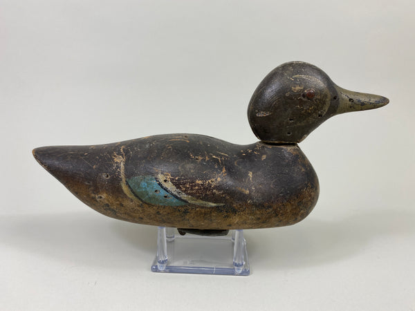 Mason Blue-Wing Teal Drake (#9046)