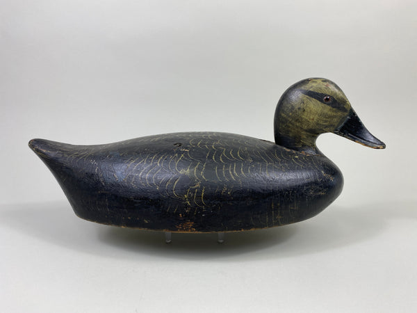Walter Struebing Black Duck (#9048)