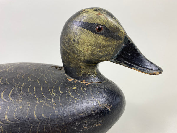 Walter Struebing Black Duck (#9048)