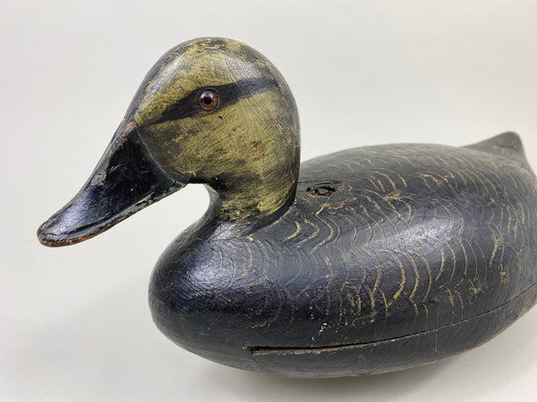 Walter Struebing Black Duck (#9048)