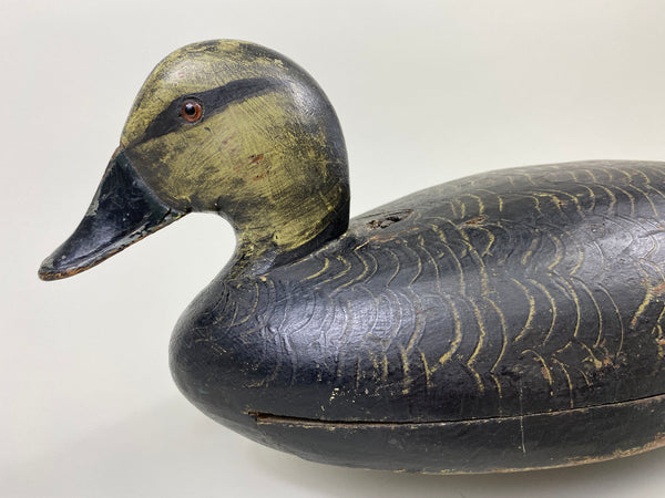 Walter Struebing Black Duck (#9048)