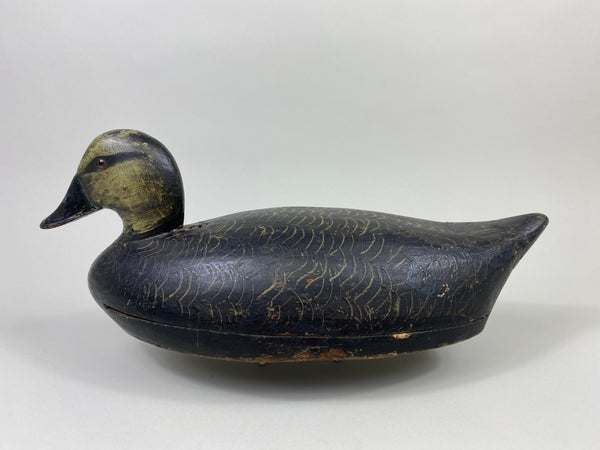 Walter Struebing Black Duck (#9048)