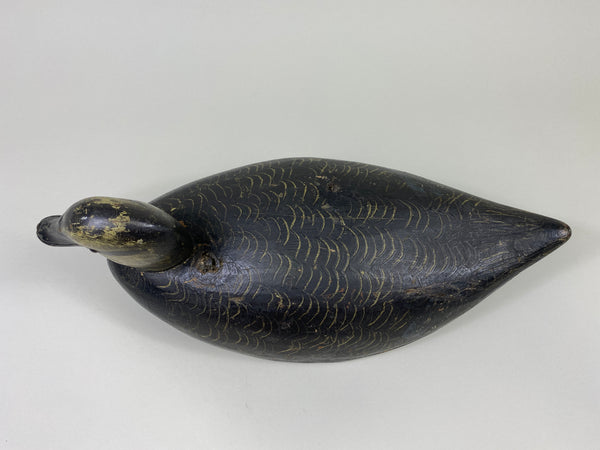 Walter Struebing Black Duck (#9048)