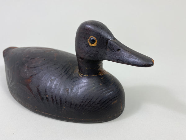 Unknown Canadian Teal, Circa 1920's (#9050)