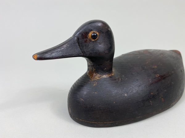 Unknown Canadian Teal, Circa 1920's (#9050)