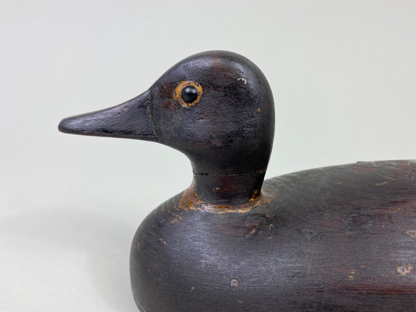 Unknown Canadian Teal, Circa 1920's (#9050)