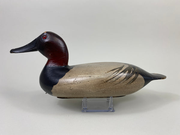 Robert Elliston Canvasback Drake (#9067)