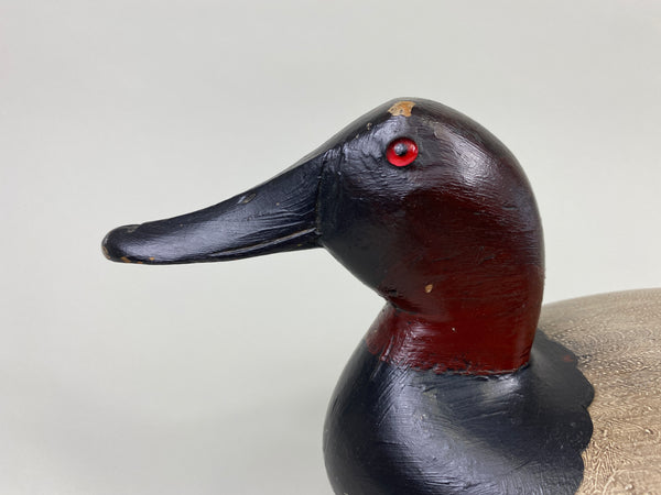 Robert Elliston Canvasback Drake (#9067)