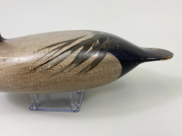 Robert Elliston Canvasback Drake (#9067)