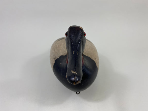 Robert Elliston Canvasback Drake (#9067)