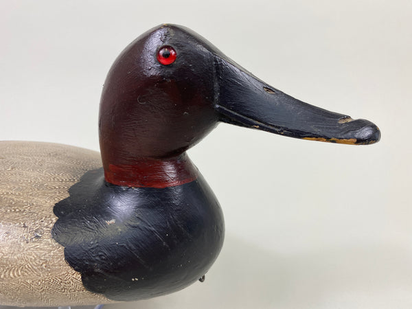 Robert Elliston Canvasback Drake (#9067)
