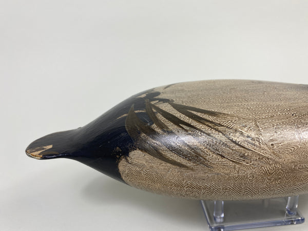 Robert Elliston Canvasback Drake (#9067)