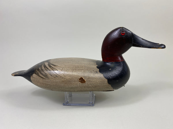 Robert Elliston Canvasback Drake (#9067)