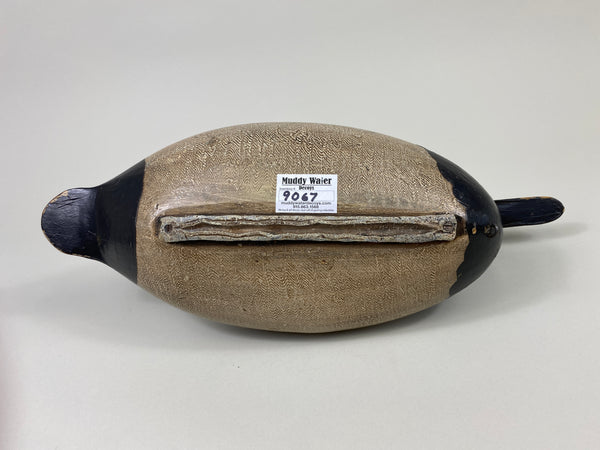 Robert Elliston Canvasback Drake (#9067)