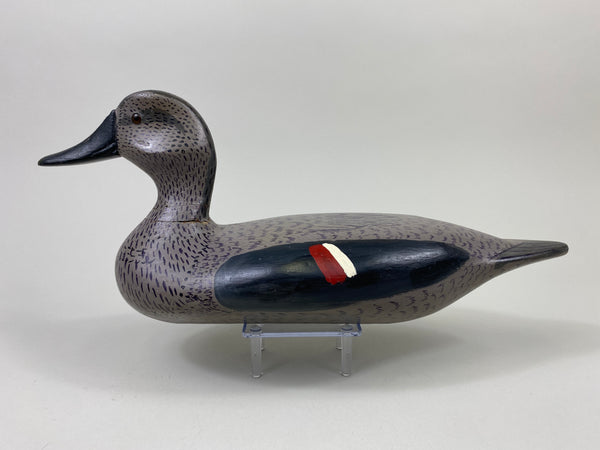 John Barnhart Gadwall Hen (#9071)