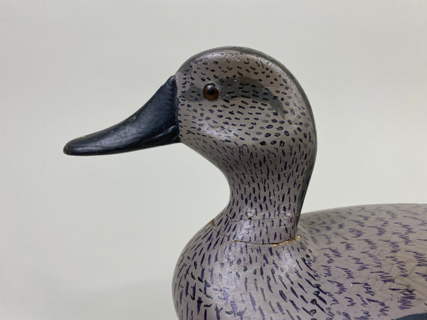 John Barnhart Gadwall Hen (#9071)