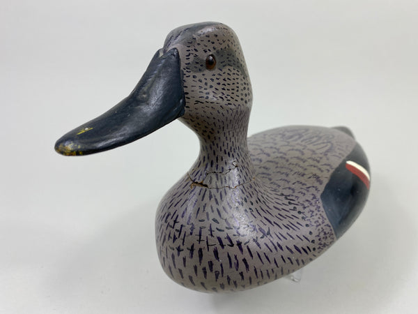 John Barnhart Gadwall Hen (#9071)