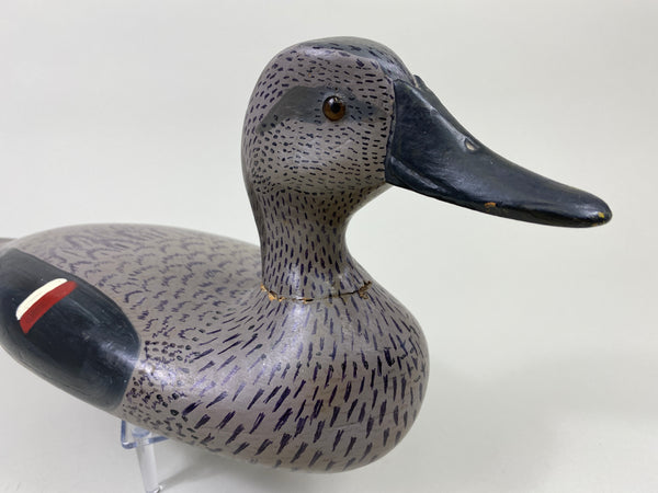John Barnhart Gadwall Hen (#9071)