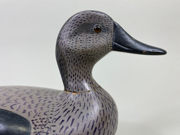 John Barnhart Gadwall Hen (#9071)