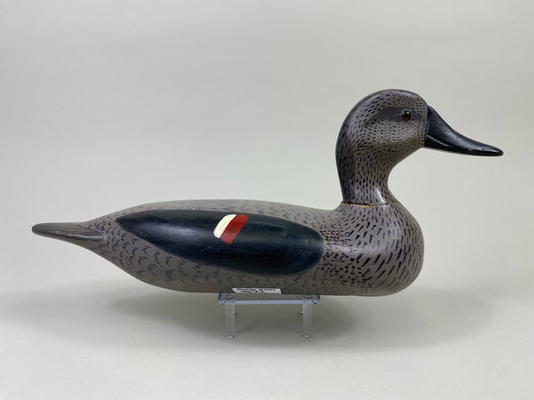 John Barnhart Gadwall Hen (#9071)