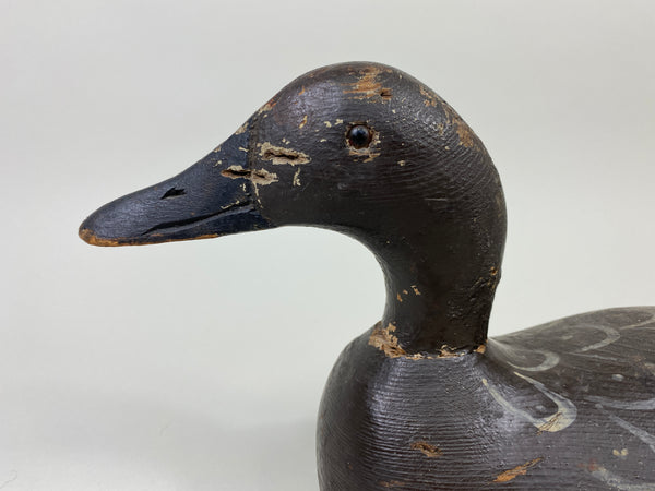 Pratt Canvasback Hen Senica Lake Model (#9076)