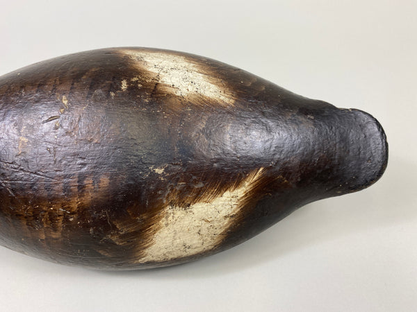 Alexandria Bluebill Hen- Unknown (#9081)