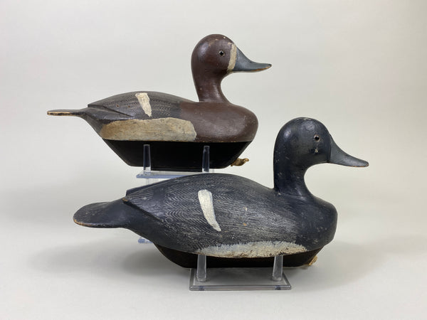 Smith Falls Pair of Bluebills (#9082)