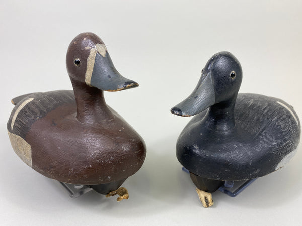 Smith Falls Pair of Bluebills (#9082)