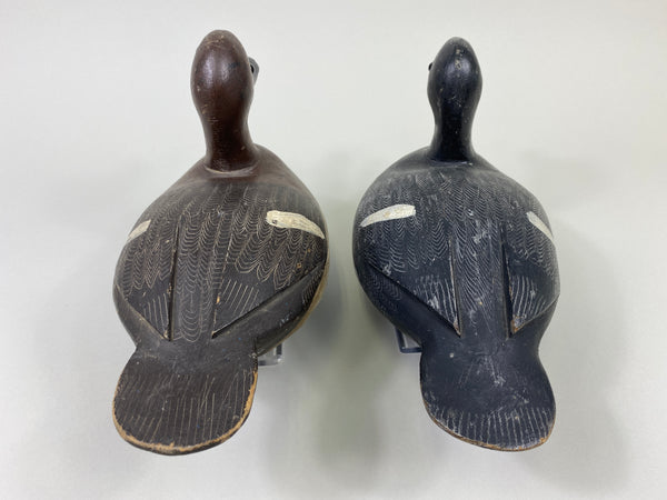 Smith Falls Pair of Bluebills (#9082)