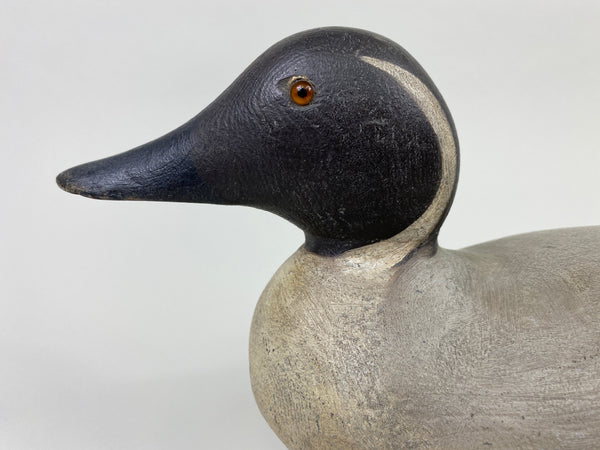 Mason Standard Grade Pintail Drake (#9086)