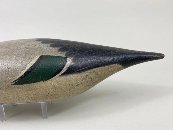 Mason Standard Grade Pintail Drake (#9086)