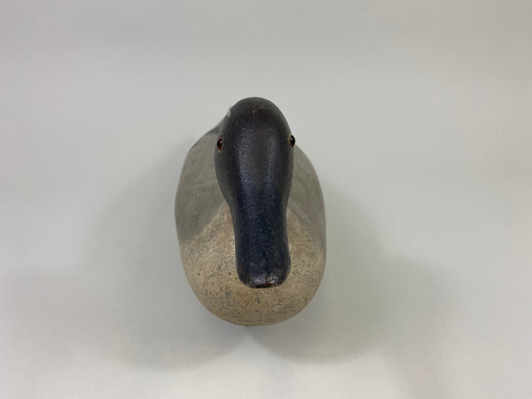 Mason Standard Grade Pintail Drake (#9086)