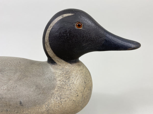 Mason Standard Grade Pintail Drake (#9086)