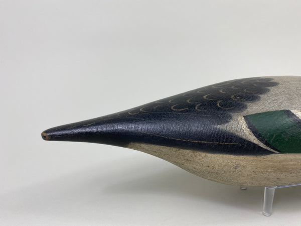 Mason Standard Grade Pintail Drake (#9086)