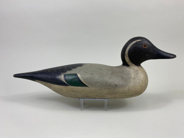 Mason Standard Grade Pintail Drake (#9086)