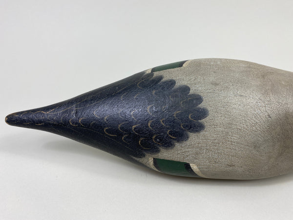 Mason Standard Grade Pintail Drake (#9086)