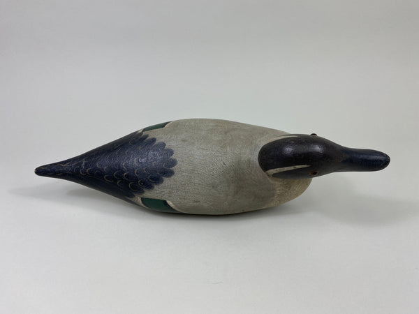 Mason Standard Grade Pintail Drake (#9086)