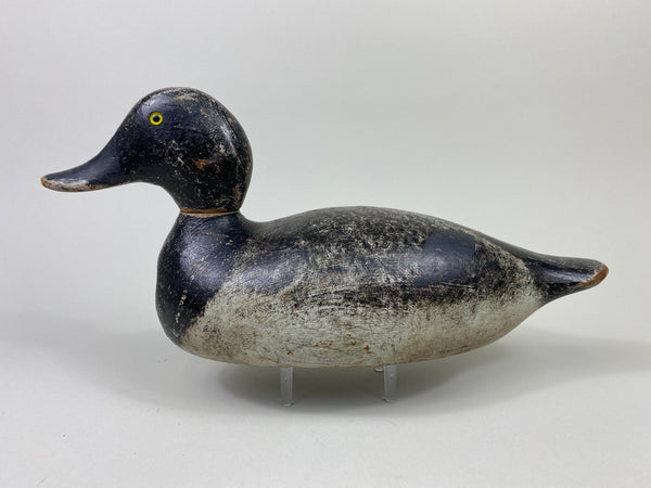 Evans Bluebill Drake, Bell Rig (#9089)