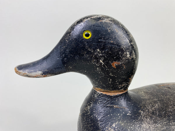 Evans Bluebill Drake, Bell Rig (#9089)