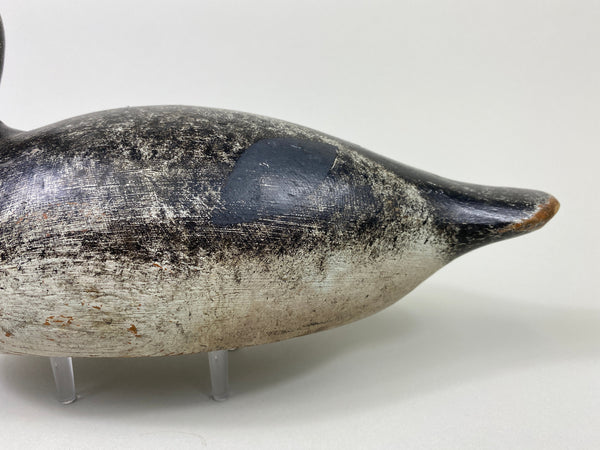 Evans Bluebill Drake, Bell Rig (#9089)