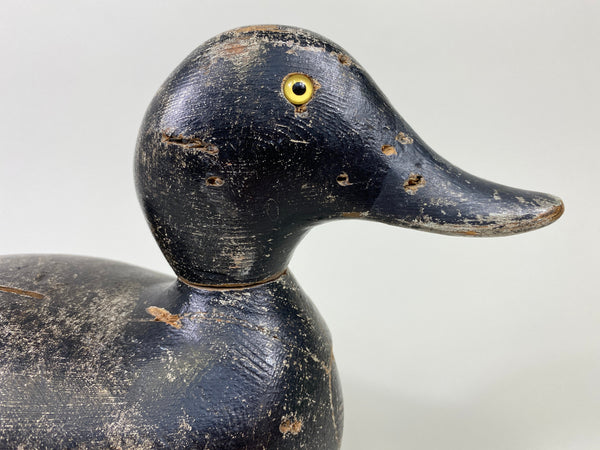 Evans Bluebill Drake, Bell Rig (#9089)