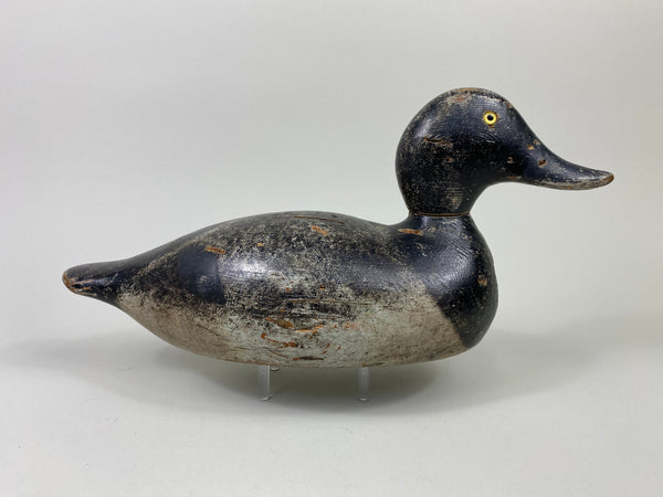 Evans Bluebill Drake, Bell Rig (#9089)