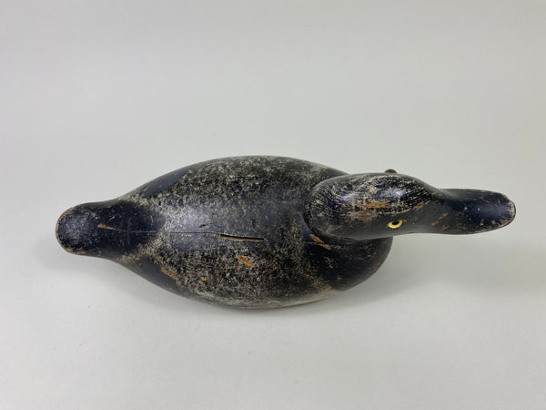 Evans Bluebill Drake, Bell Rig (#9089)