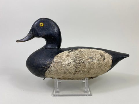 Walter Dalrymple Bluebill Drake (#9093)