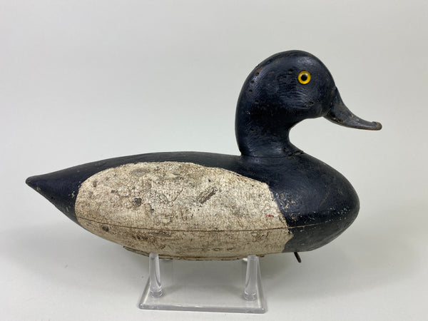 Walter Dalrymple Bluebill Drake (#9093)