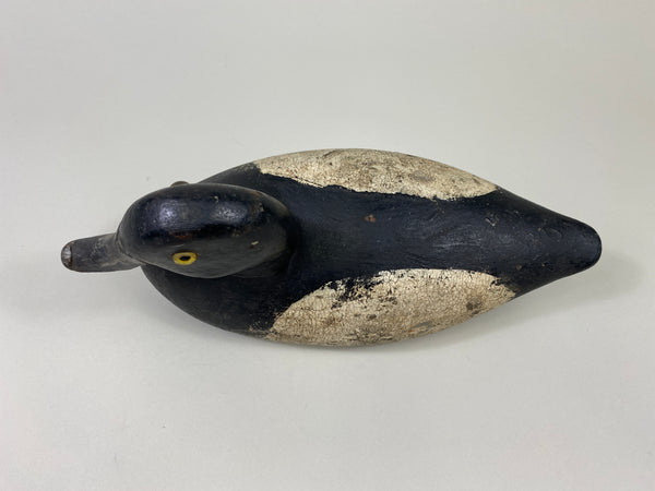 Walter Dalrymple Bluebill Drake (#9093)