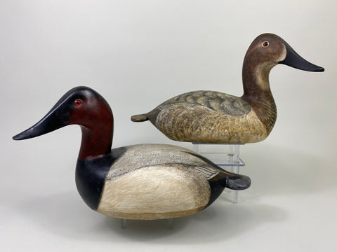 Torry Ward Canvasback Pair (#9096)