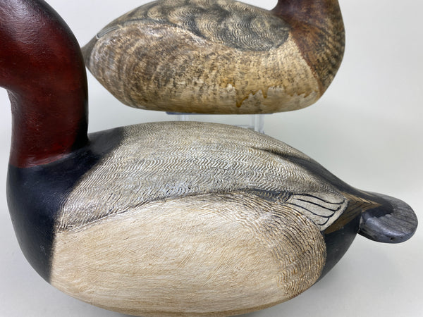 Torry Ward Canvasback Pair (#9096)